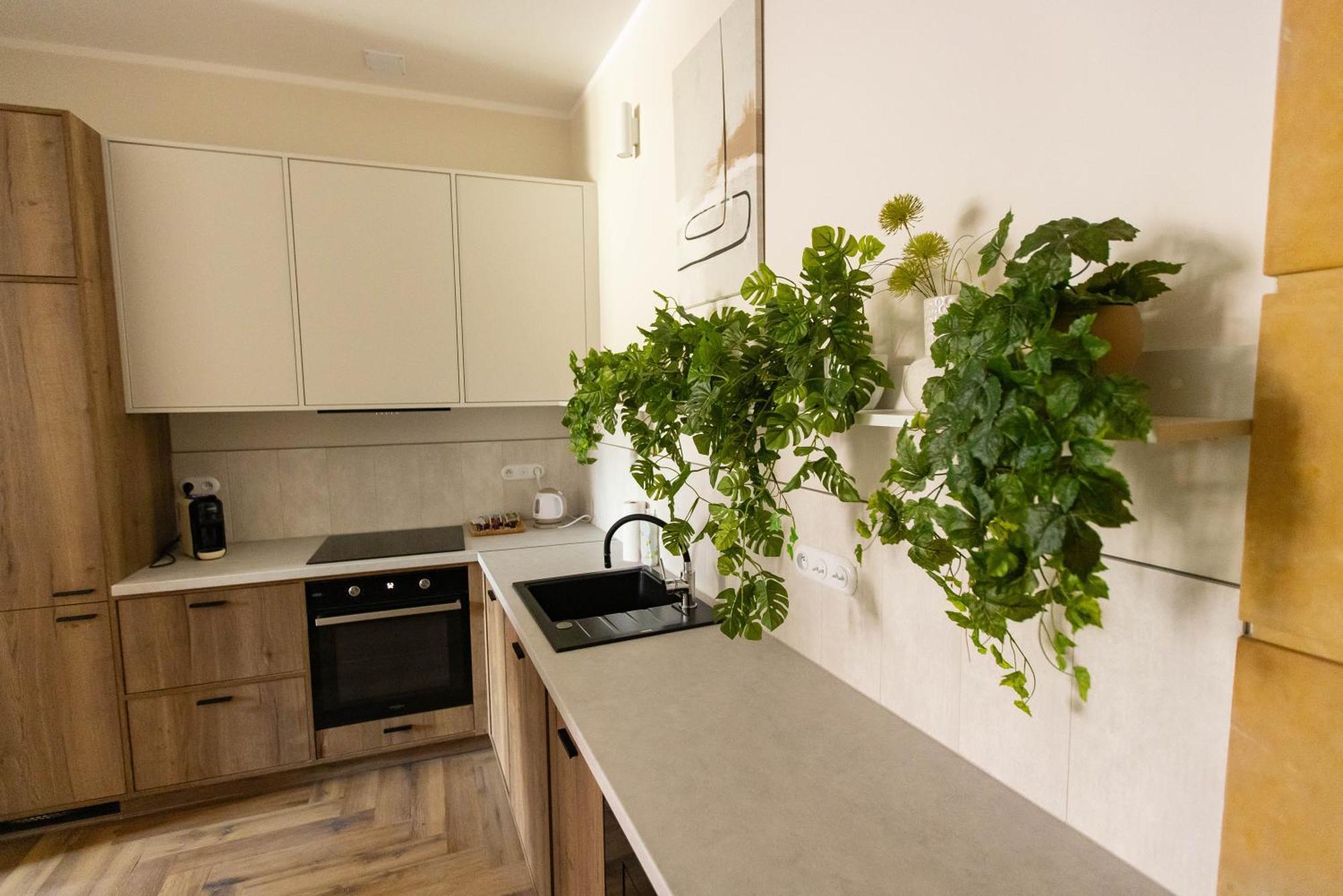 Apartamenty Rynek 12 تارنوف المظهر الخارجي الصورة